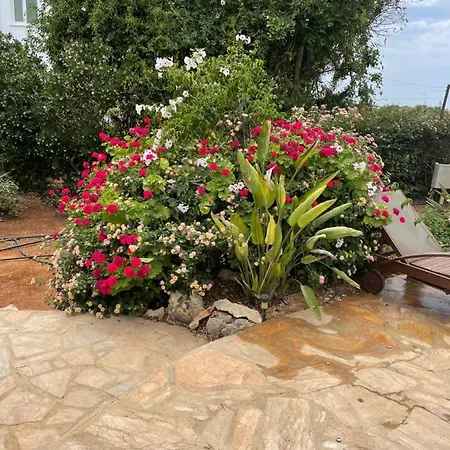 Holiday home Konnos *