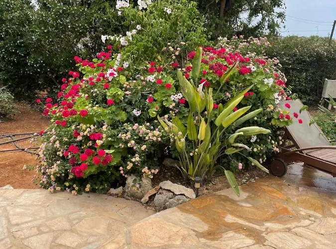 Σπίτι διακοπών Konnos *