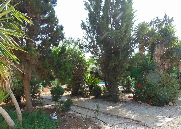 Konnos * Πρωταράς